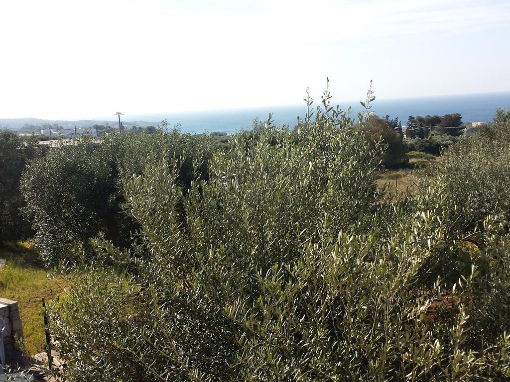 Patù Villa Minteco מראה חיצוני תמונה