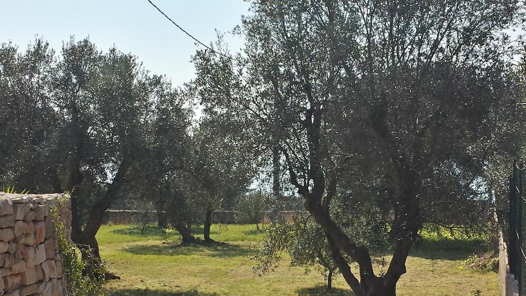 Patù Villa Minteco מראה חיצוני תמונה