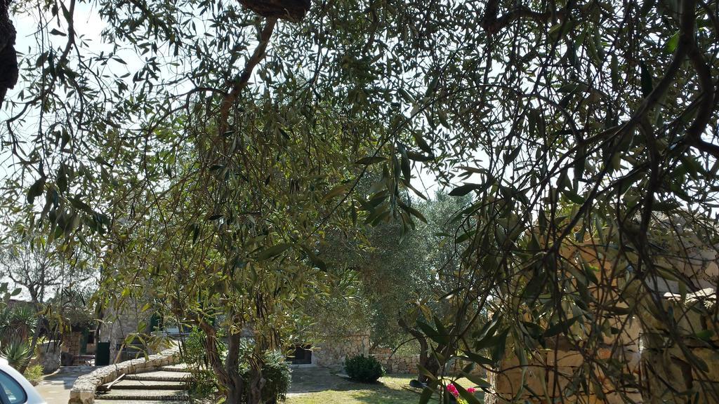 Patù Villa Minteco מראה חיצוני תמונה