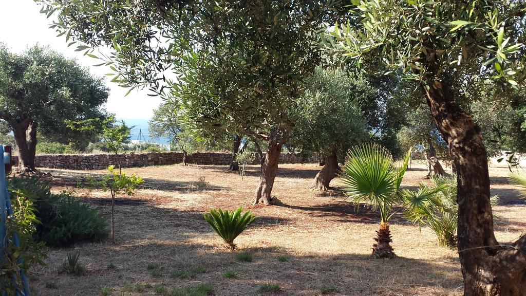 Patù Villa Minteco מראה חיצוני תמונה