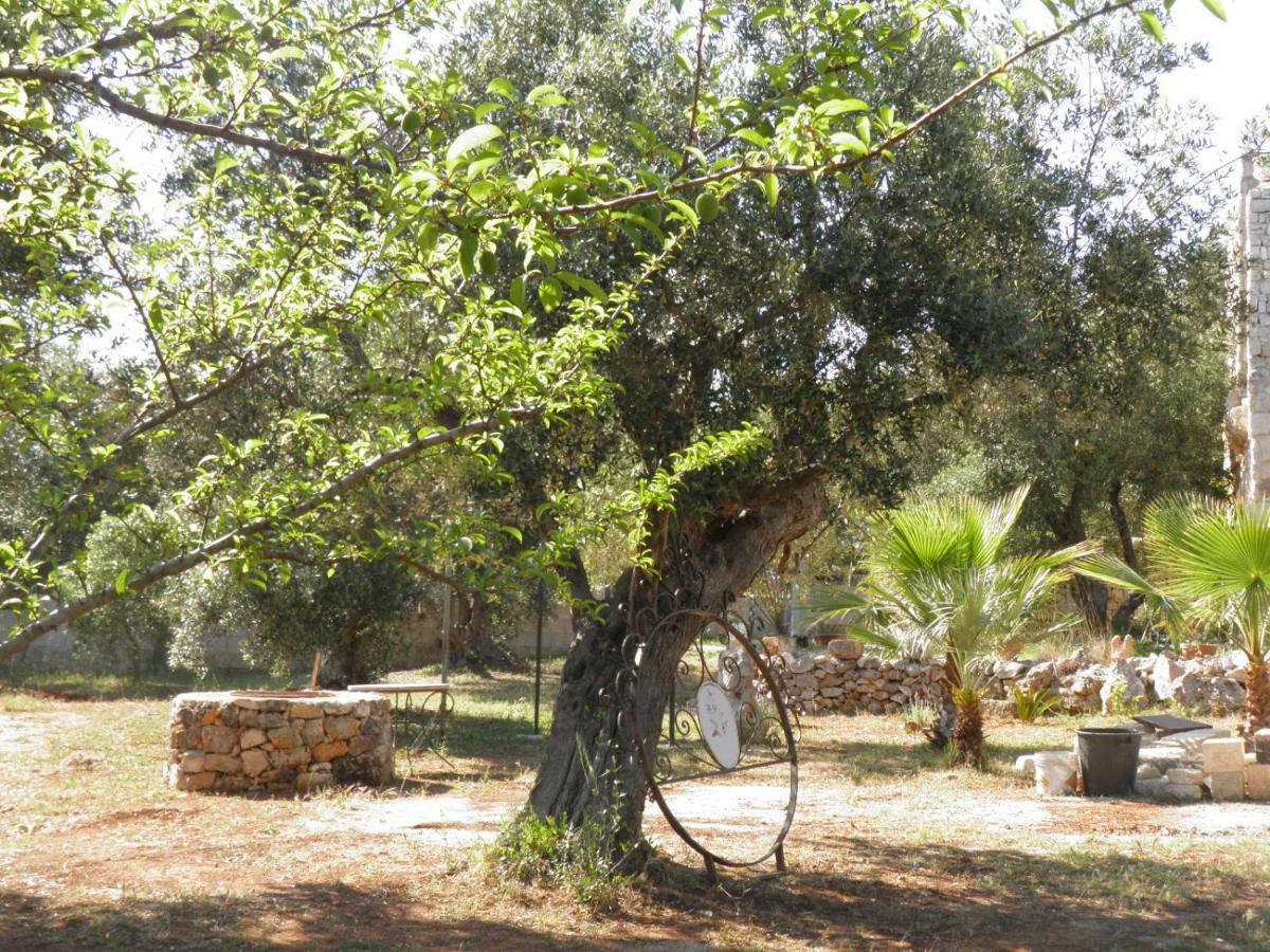 Patù Villa Minteco מראה חיצוני תמונה