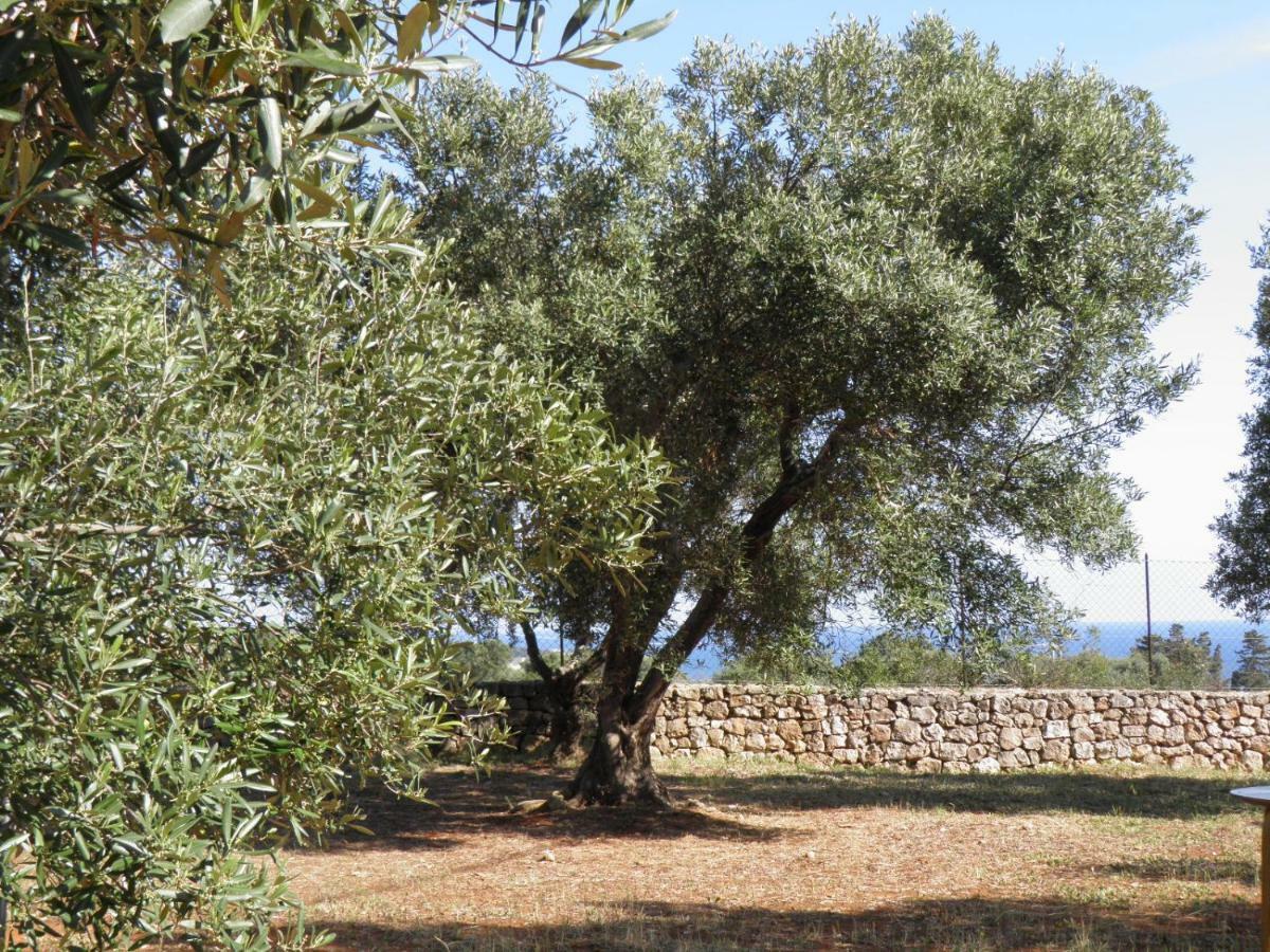 Patù Villa Minteco מראה חיצוני תמונה