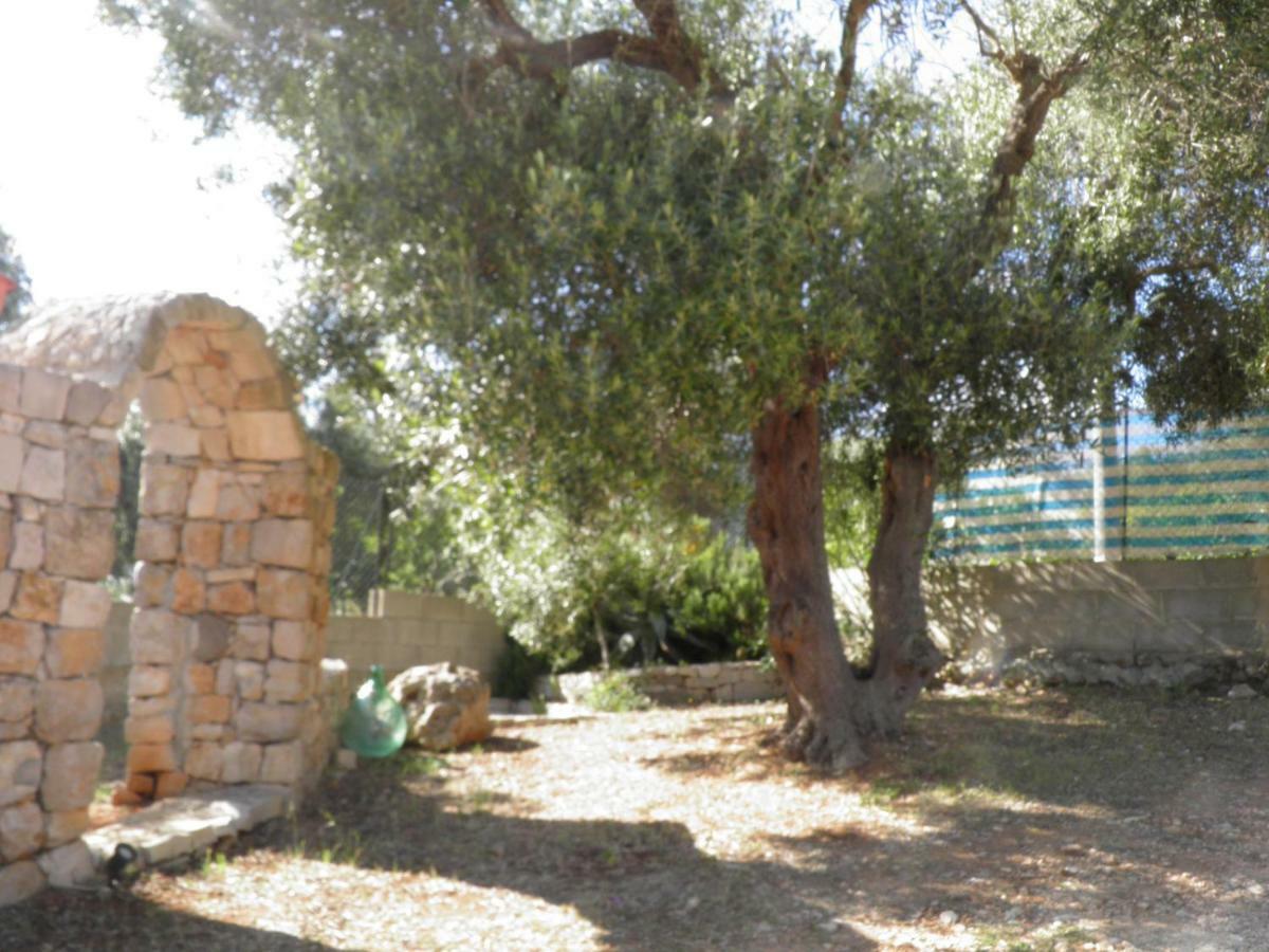 Patù Villa Minteco מראה חיצוני תמונה